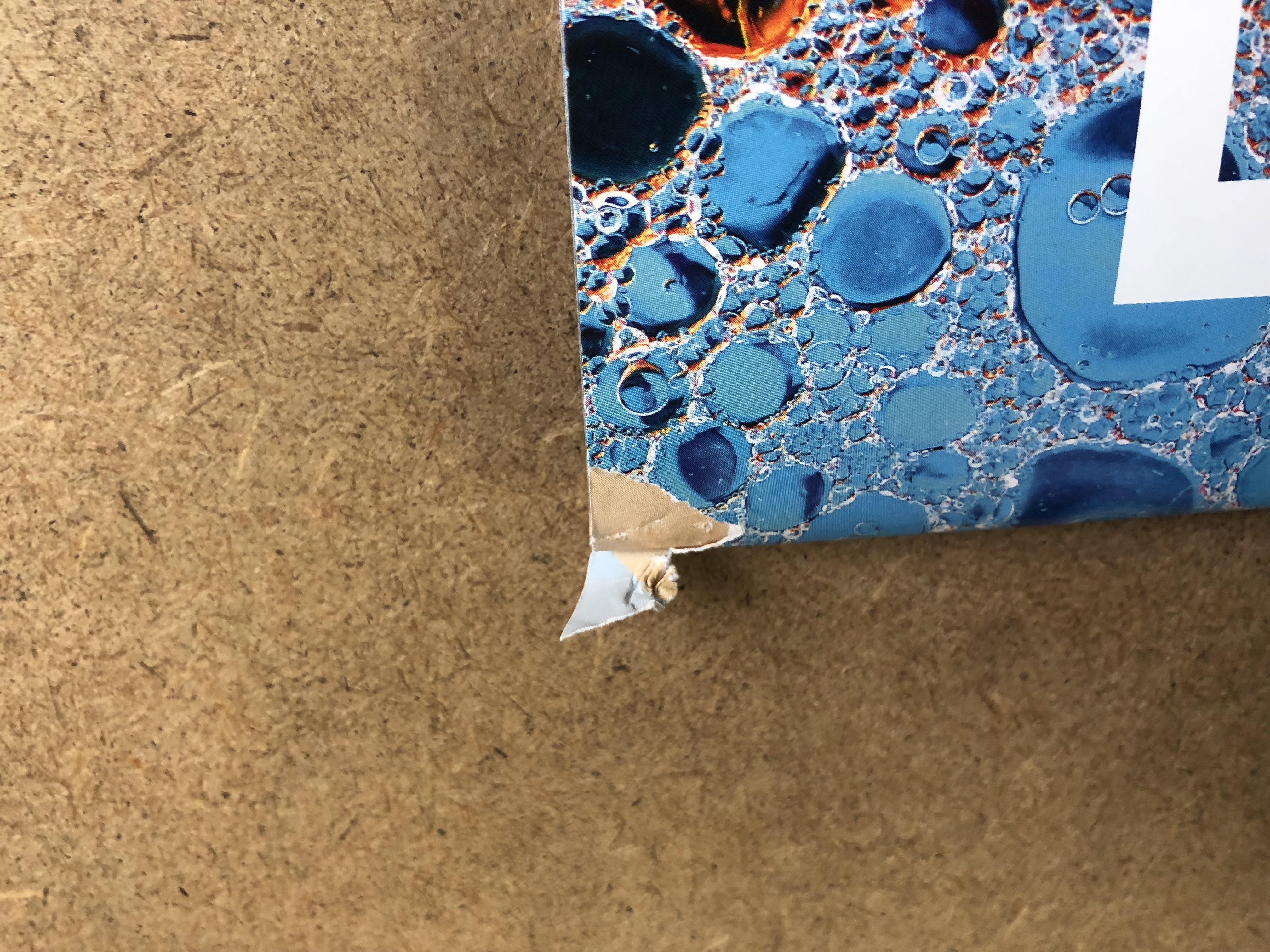 Fyzika 7 s nadhledem 2v1 - pracovní sešit