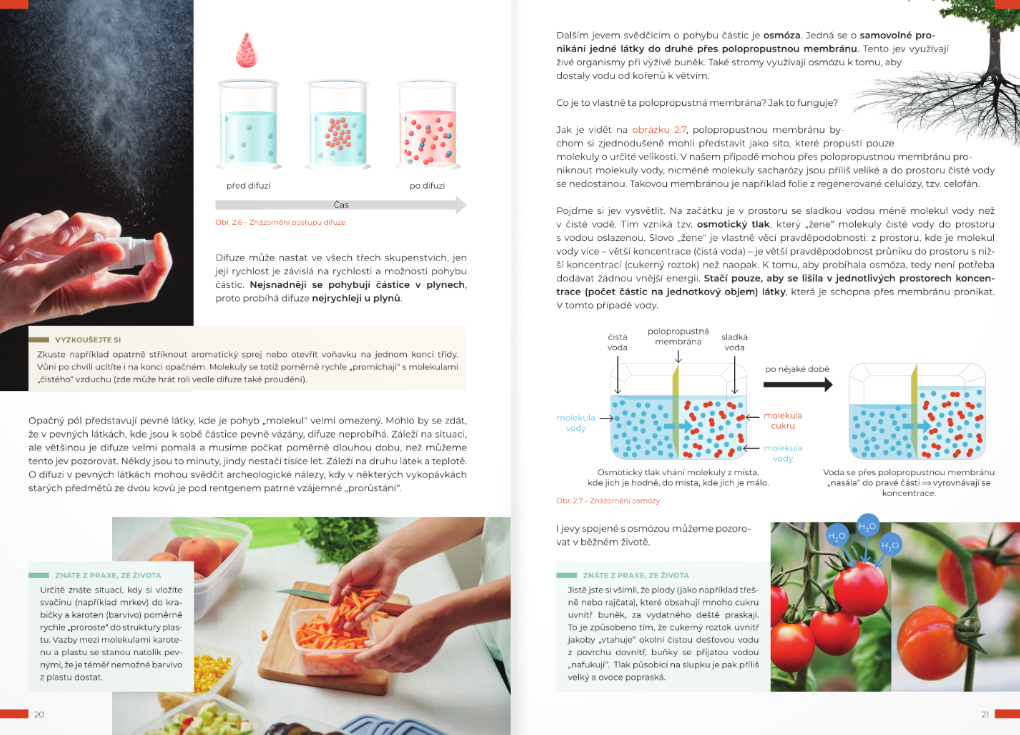 Fyzika s porozuměním - učebnice pro gymnázia - 2. díl (Stavba a vlastnosti látek, děje v látkách)